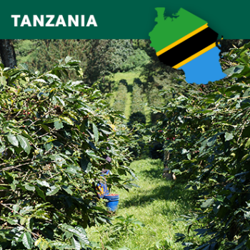 TANZANIA, KAFFE - Billede 2